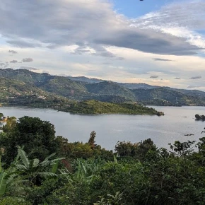 Walking experience tour in Beautiful and Enjoyable Places - Online Experience - Photo 2