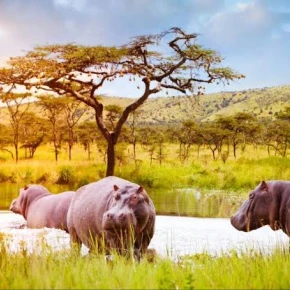 Social discussing,preaching - Online Experience - Photo 1