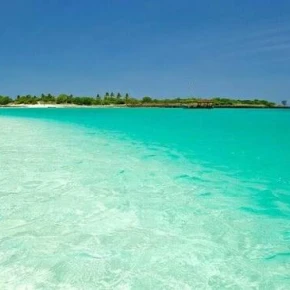 Hi Im Osvaldo i have experience on helping People to know Places - Online Experience - Photo 5