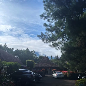 Join my tour, and you'll never forget our journey - Online Experience - Photo 1