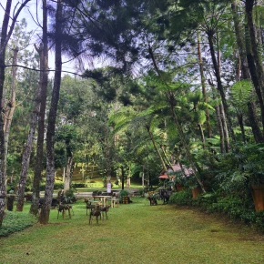 Join my tour, and you'll never forget our journey - Online Experience - Photo 3