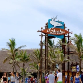 I know my city in and out and I also love it so much. It has beautiful - Online Experience - Photo 1