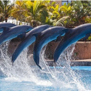 I know my city in and out and I also love it so much. It has beautiful - Online Experience - Photo 4