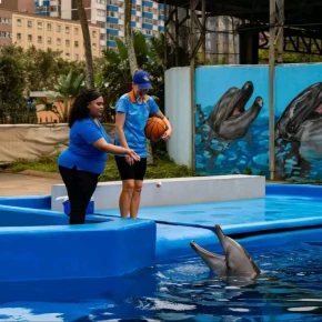 Come with me, let's unpack the most attractive, popular, most vis.. - Online Experience - Photo 1