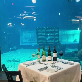 Come with me, let's unpack the most attractive, popular, most vis.. - Online Experience - Photo 2