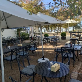 Cape Town’s vibe—local food, art, nightlife, nature & beauty - Online Experience - Photo 1