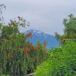 "Authentic Arusha: A Guided Journey Through Culture and Nature" - Online Experience - Photo 4