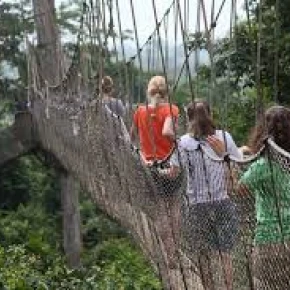 Local Experience and local language tuturials - Online Experience - Photo 1