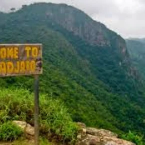 Local Experience and local language tuturials - Online Experience - Photo 2