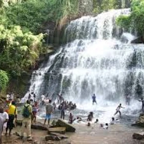 Local Experience and local language tuturials - Online Experience - Photo 4