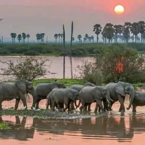 "Authentic Arusha: A Guided Journey Through Culture and Nature" - Online Experience - Photo 5