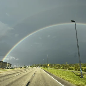 Bar hopping, beaches, kayaking, boat tours, Everglades - Online Experience - Photo 1