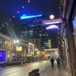 Bar hopping, beaches, kayaking, boat tours, Everglades - Online Experience - Photo 3