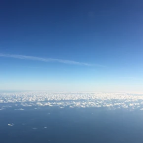 Bar hopping, beaches, kayaking, boat tours, Everglades - Online Experience - Photo 5