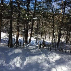 Bar hopping, beaches, kayaking, boat tours, Everglades - Online Experience - Photo 6