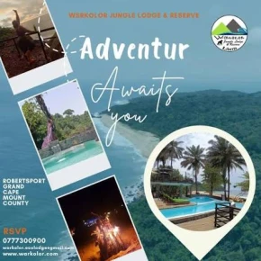 The Sweet land of liberty awaits you - Online Experience - Photo 1