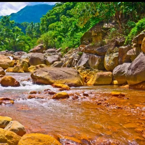 Exploring Dumaguete City has been one of my favorite local experiences - Online Experience - Photo 2