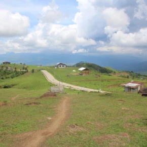 Exploring Dumaguete City has been one of my favorite local experiences - Online Experience - Photo 6