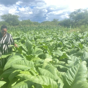 Visiting hotels, restaurants, bars , recreational places, nature, game - Online Experience - Photo 6