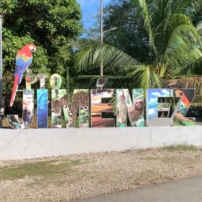 I love sharing local foods and cooking for guests - Online Experience - Photo 1