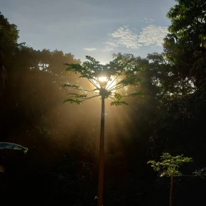 I love sharing local foods and cooking for guests - Online Experience - Photo 5