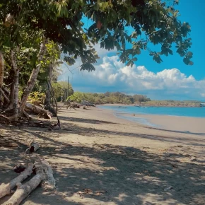 I love sharing local foods and cooking for guests - Online Experience - Photo 6