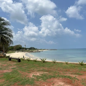 Explore Jaffna - Online Experience - Photo 4