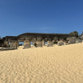 Explore Jaffna - Online Experience - Photo 5