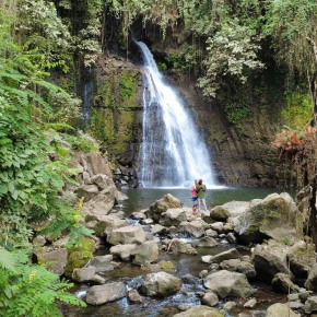 Roots and Rhythms: A Journey Through My Local Life - Online Experience - Photo 1