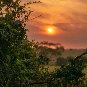 Meet Shedrack in Arusha - Your Local Friend & Expert - ID5457 - Photo 5
