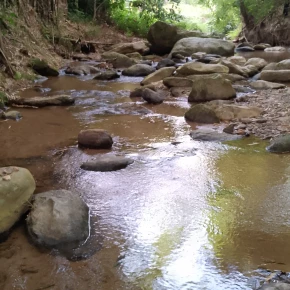 Meet Josmer in Bejuma - Your Local Friend & Expert - ID5530 - Photo 2