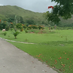 Meet Josmer in Bejuma - Your Local Friend & Expert - ID5530 - Photo 4