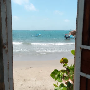 Meet Josmer in Bejuma - Your Local Friend & Expert - ID5530 - Photo 5